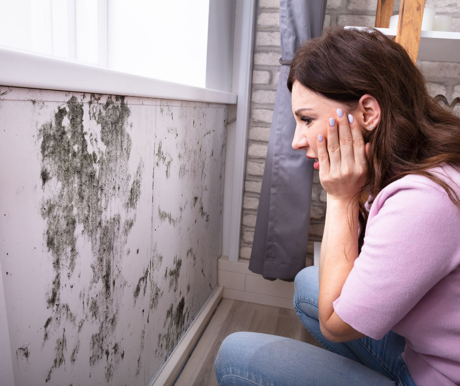 Mold in the home - How do we prevent it from appearing?